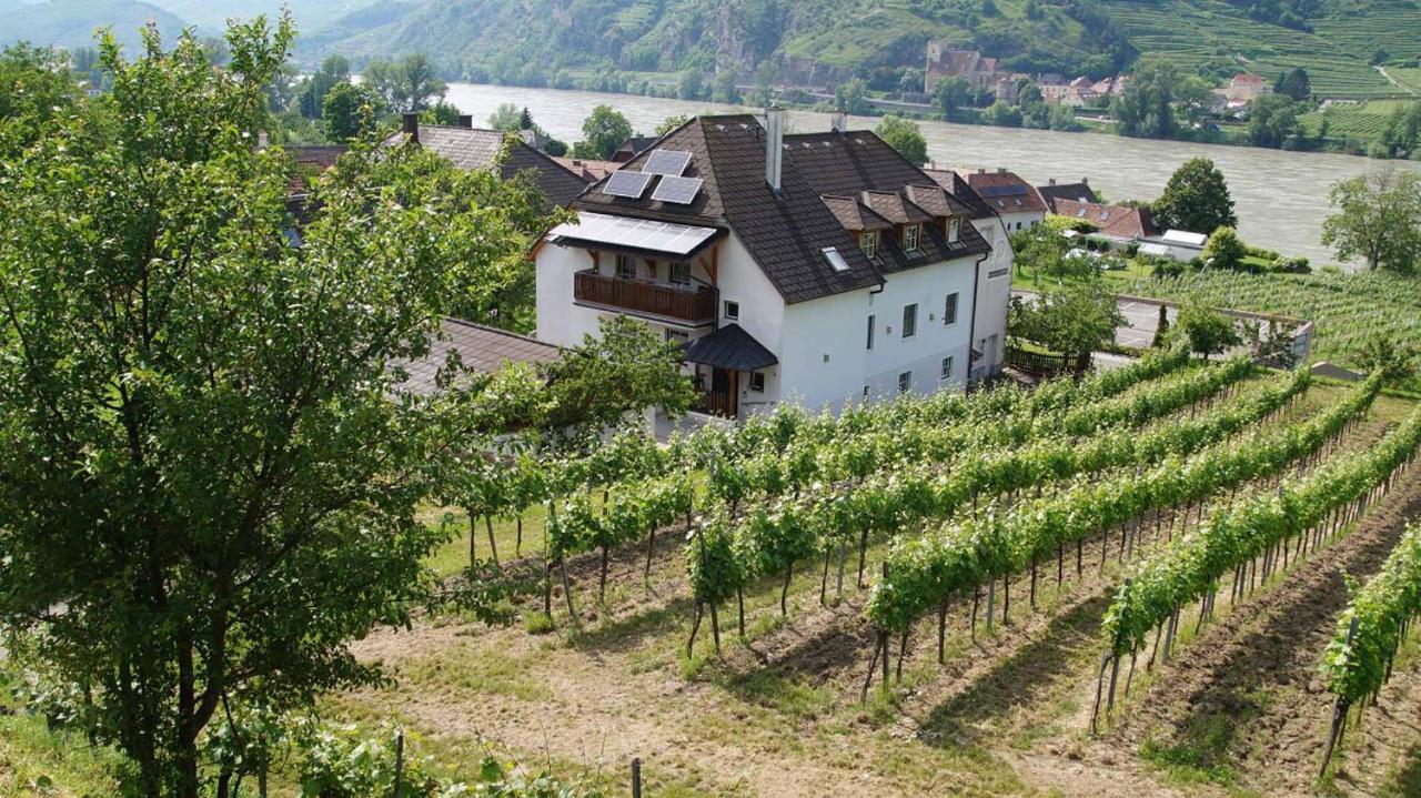 Weingut & Gaestezimmer Pammer Mitterarnsdorf Eksteriør bilde