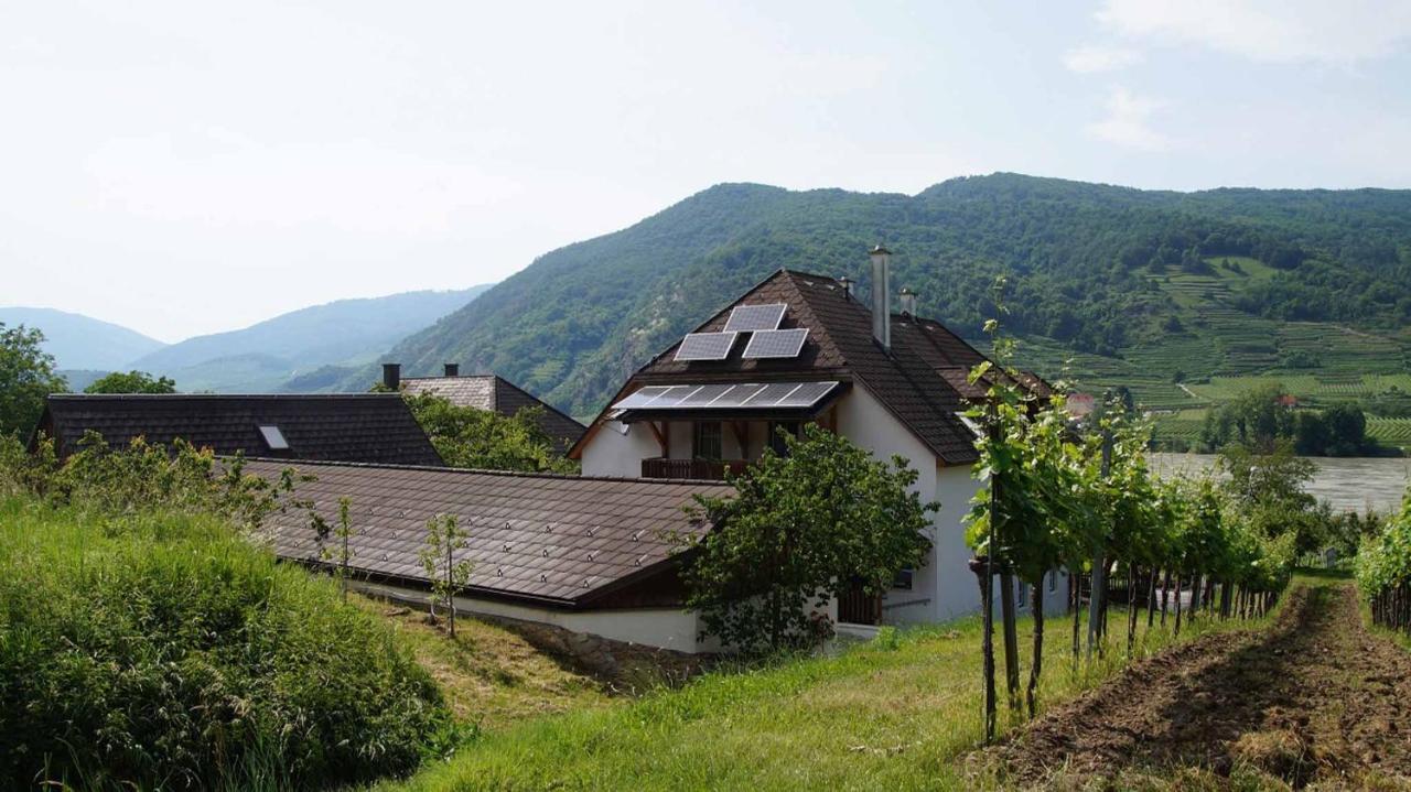 Weingut & Gaestezimmer Pammer Mitterarnsdorf Eksteriør bilde