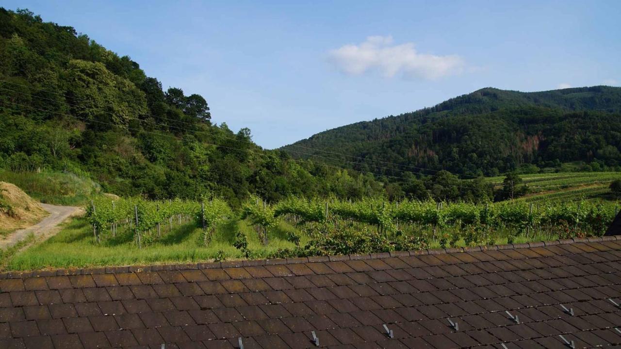 Weingut & Gaestezimmer Pammer Mitterarnsdorf Eksteriør bilde