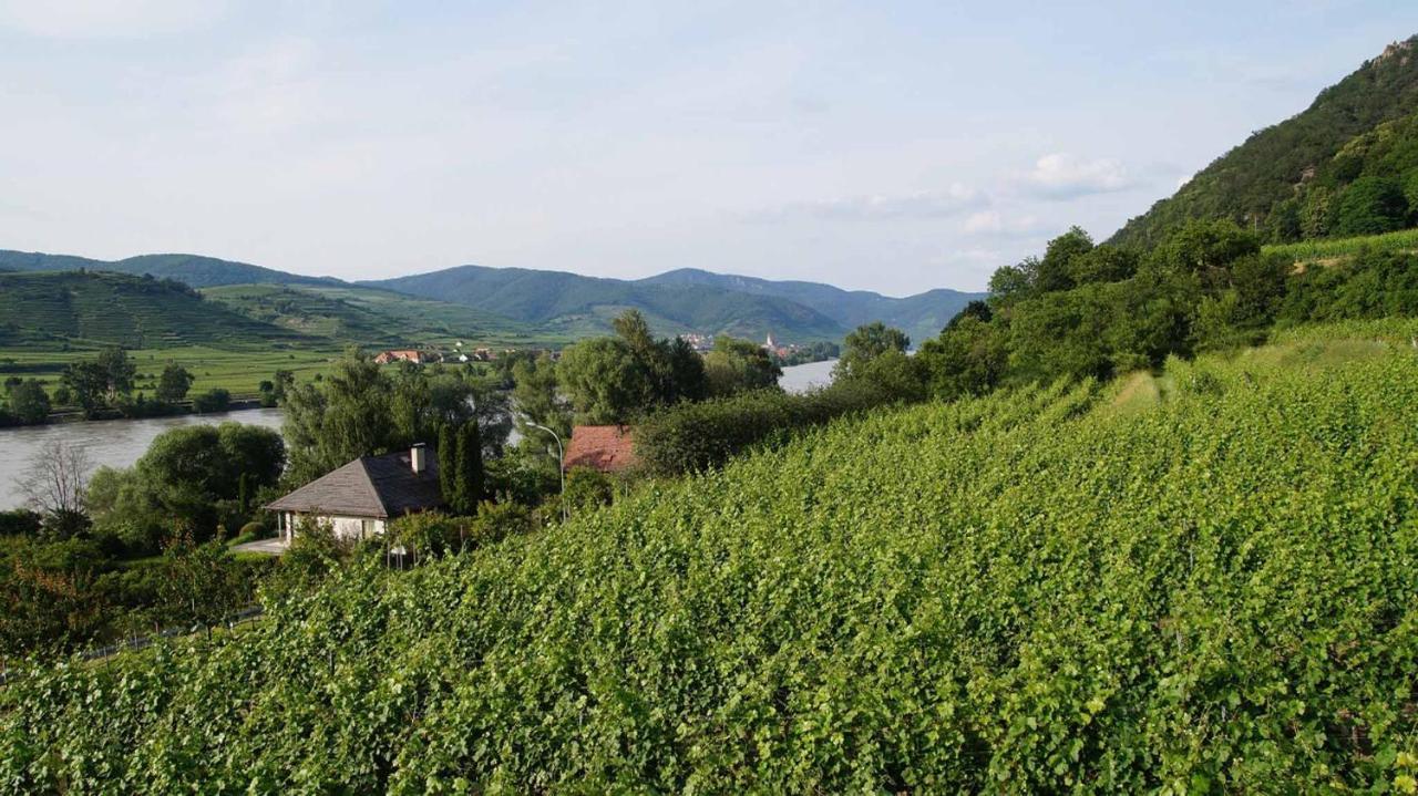 Weingut & Gaestezimmer Pammer Mitterarnsdorf Eksteriør bilde