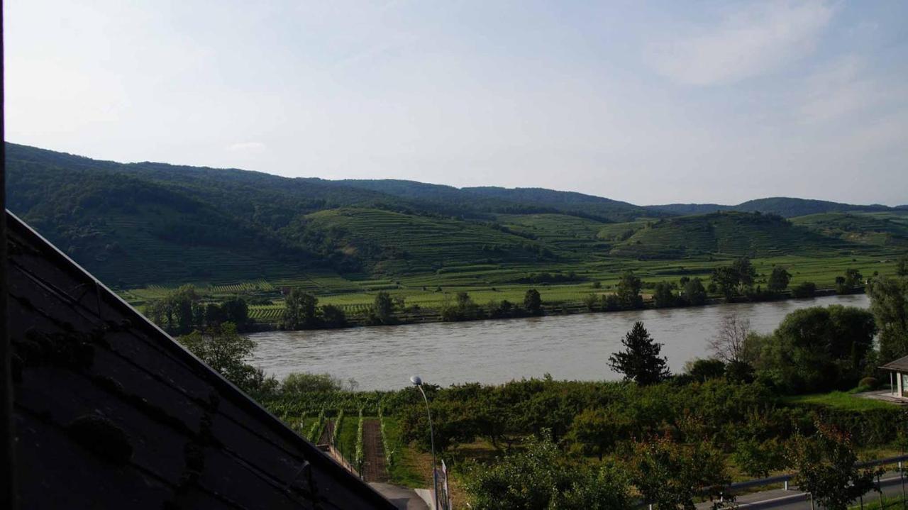Weingut & Gaestezimmer Pammer Mitterarnsdorf Eksteriør bilde